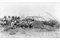 1876-1887 - The Apache Wars